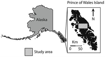 The Importance of <mark class="highlighted">Environmental Variability</mark> and Transient Population Dynamics for a Northern Ungulate